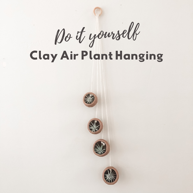 air dry clay hanging planter DIY Clay Air Plant Hanging – The Artie Party