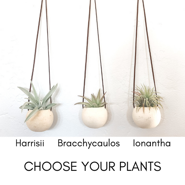 Single Natural Hanging Bell Cups