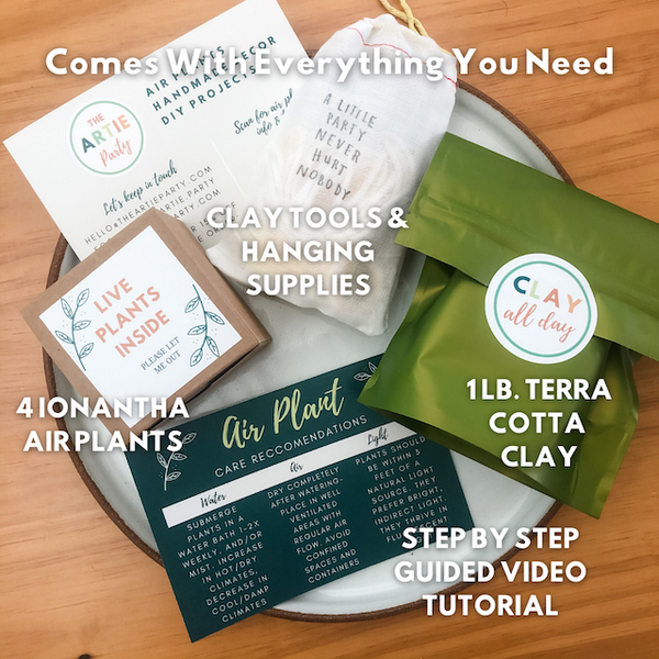 DIY Clay Air Plant Hanging