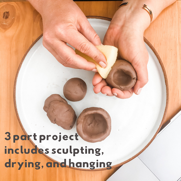 DIY Clay Air Plant Hanging