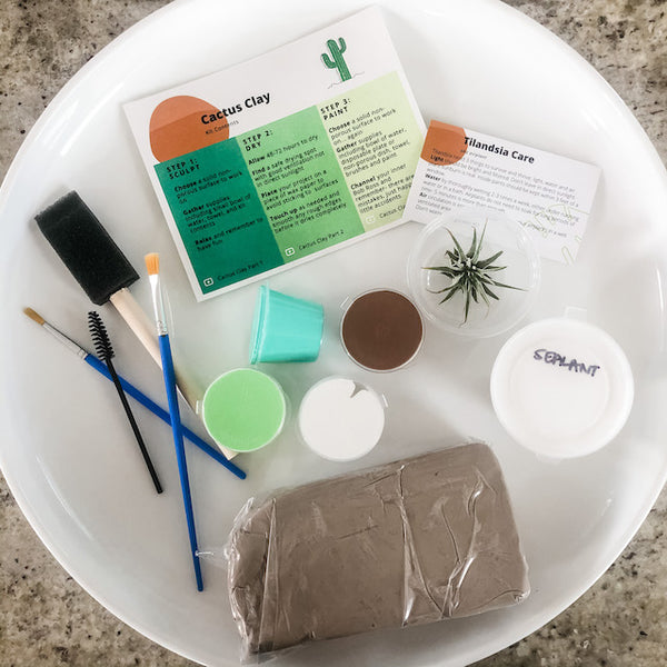 Cactus Clay Air Plant Holder DIY Sculpture Kit