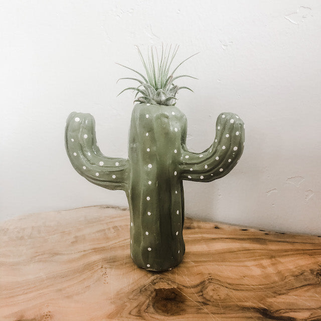 polymer clay air plant holder Cactus Clay Air Plant Holder DIY Sculpture Kit