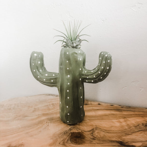 Cactus Clay Air Plant Holder DIY Sculpture Kit