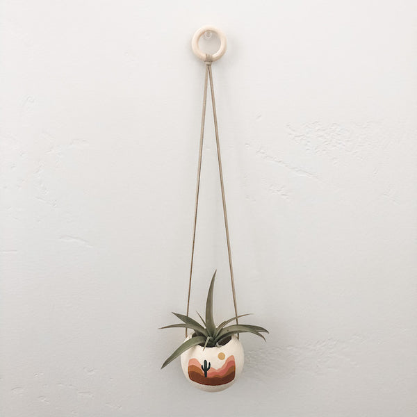 Scene Collection: Desert Oasis