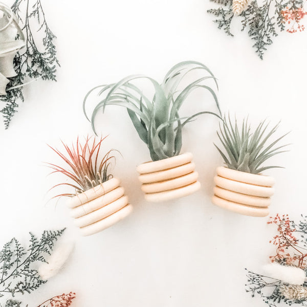 Holiday Wooden Ring Pot Set- Medium