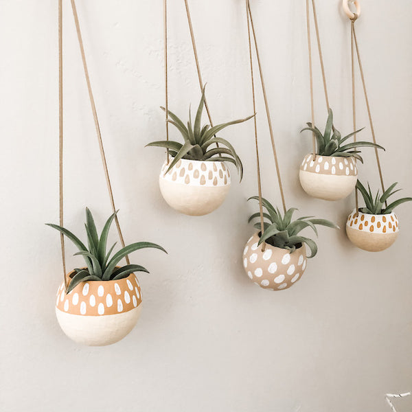 Holiday Single Bell Cup Set- Light & Airy Collection