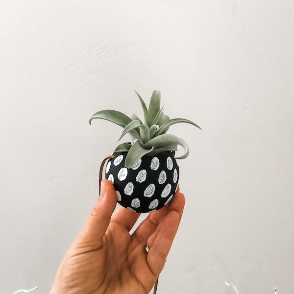 Holiday Single Bell Cup Set- Black & White Collection
