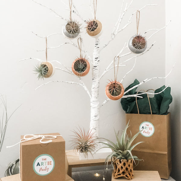 Air Plant Bell Cup Holiday Ornaments- Metallic