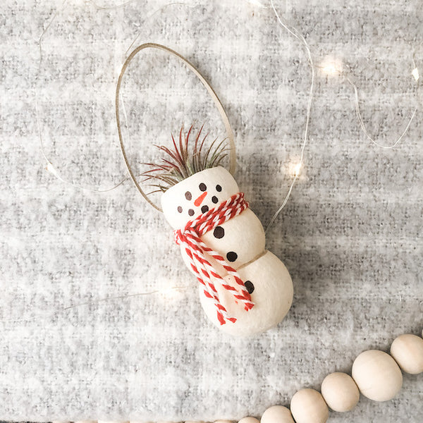 Snowmen Air Plant Ornaments