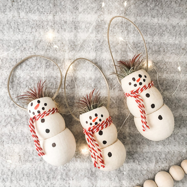 Snowmen Air Plant Ornaments