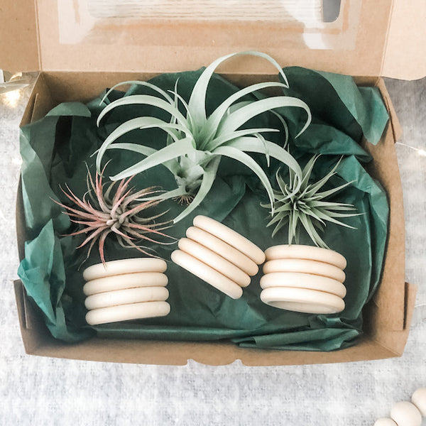 Holiday Wooden Ring Pot Set- Medium