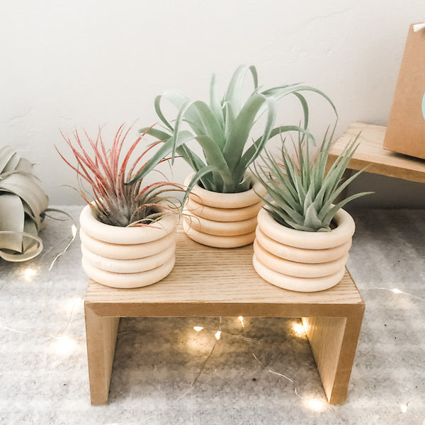 Holiday Wooden Ring Pot Set- Medium