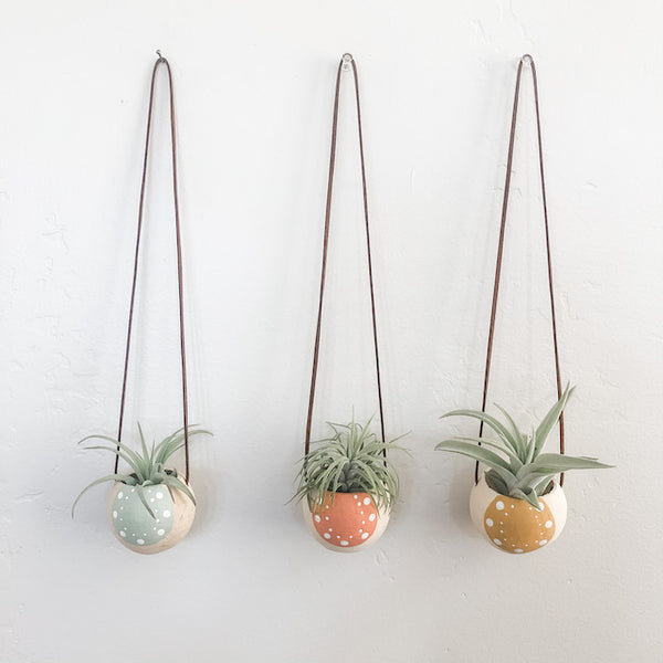 Single Neutural + Pastel Bell Cups