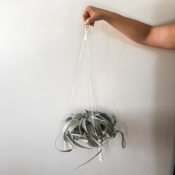 Hanging Gold Hoop Air Plant Throne, Large