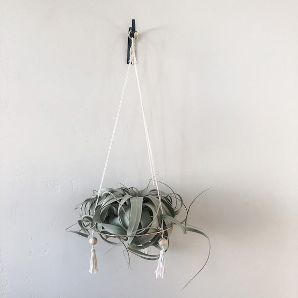 Hanging Gold Hoop Air Plant Throne, Large