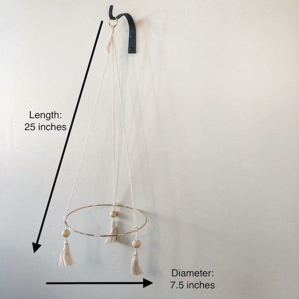 Hanging Gold Hoop Air Plant Throne, Large