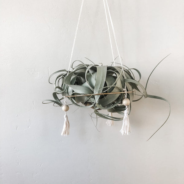 Hanging Gold Hoop Air Plant Throne, Large
