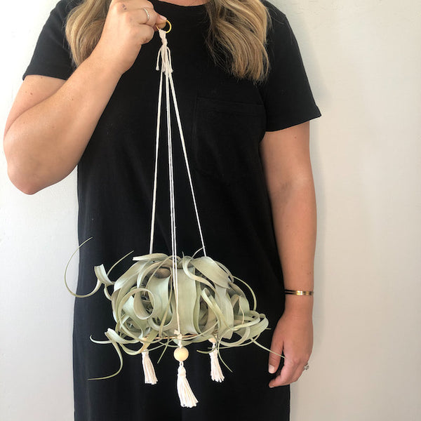 Hanging Gold Hoop Air Plant Throne, Medium