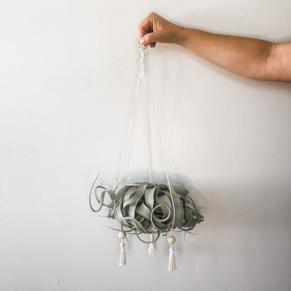 Hanging Gold Hoop Air Plant Throne, Medium