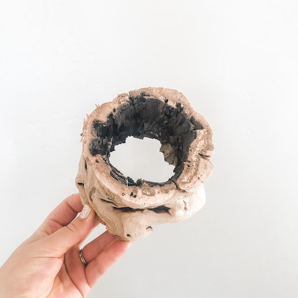 Hollow Grapevine Wood Trunks