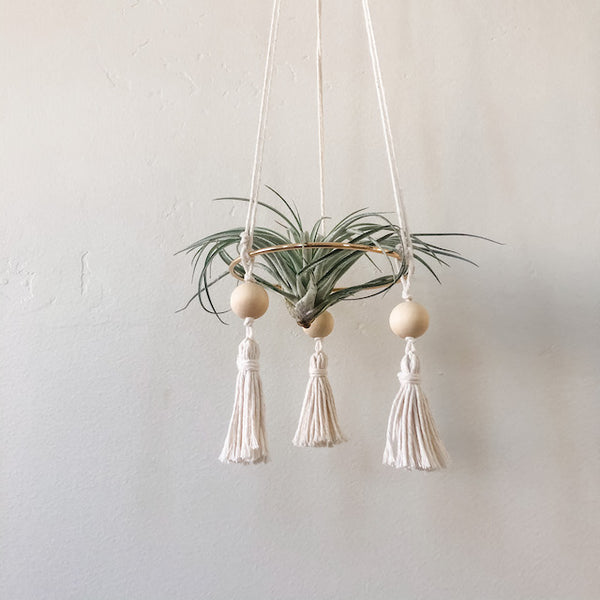 Hanging Gold Hoop Air Plant Throne, Small