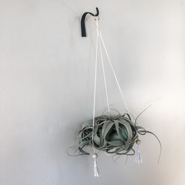 Hanging Gold Hoop Air Plant Throne, Large