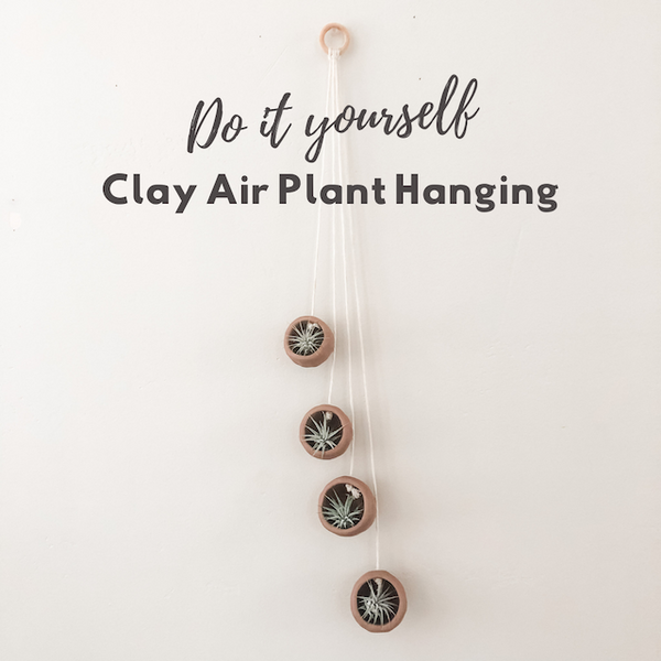 DIY Clay Air Plant Hanging