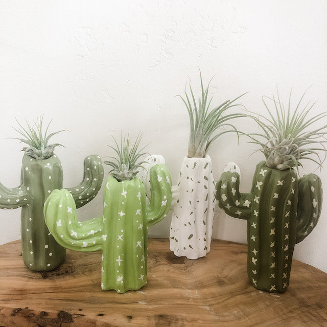 air dry clay plant Cactus Clay Air Plant Holder DIY Sculpture Kit – The Artie Party