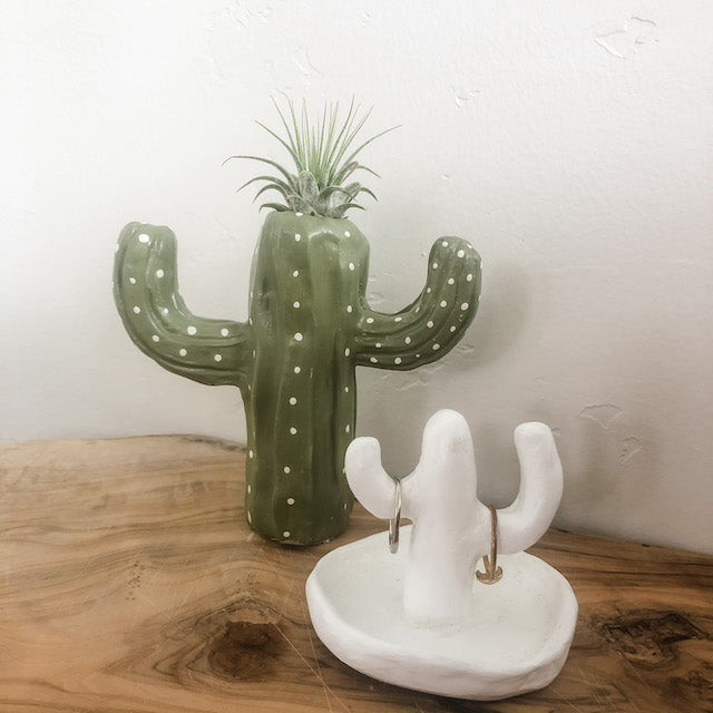 Cactus Clay Air Plant Holder DIY Sculpture Kit – The Artie Party