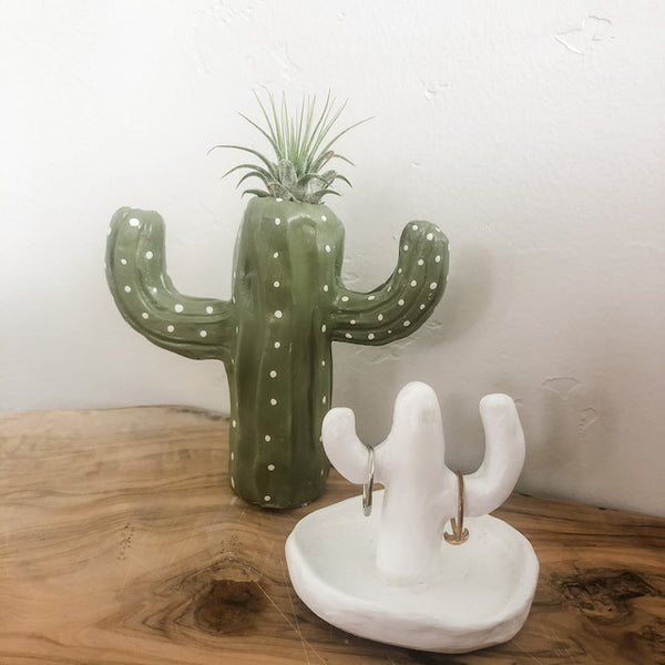 Cactus Clay Air Plant Holder DIY Sculpture Kit