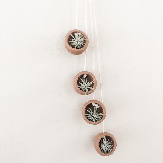 air dry clay hanging planter DIY Clay Air Plant Hanging – The Artie Party