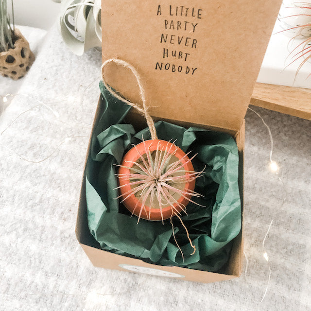 Air Plant Bell Cup Holiday Ornaments- Red & Green