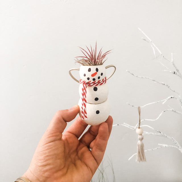 air plant snowman Snowmen Air Plant Ornaments – The Artie Party